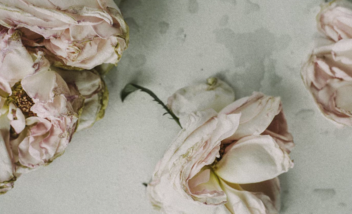 A Dying Flower